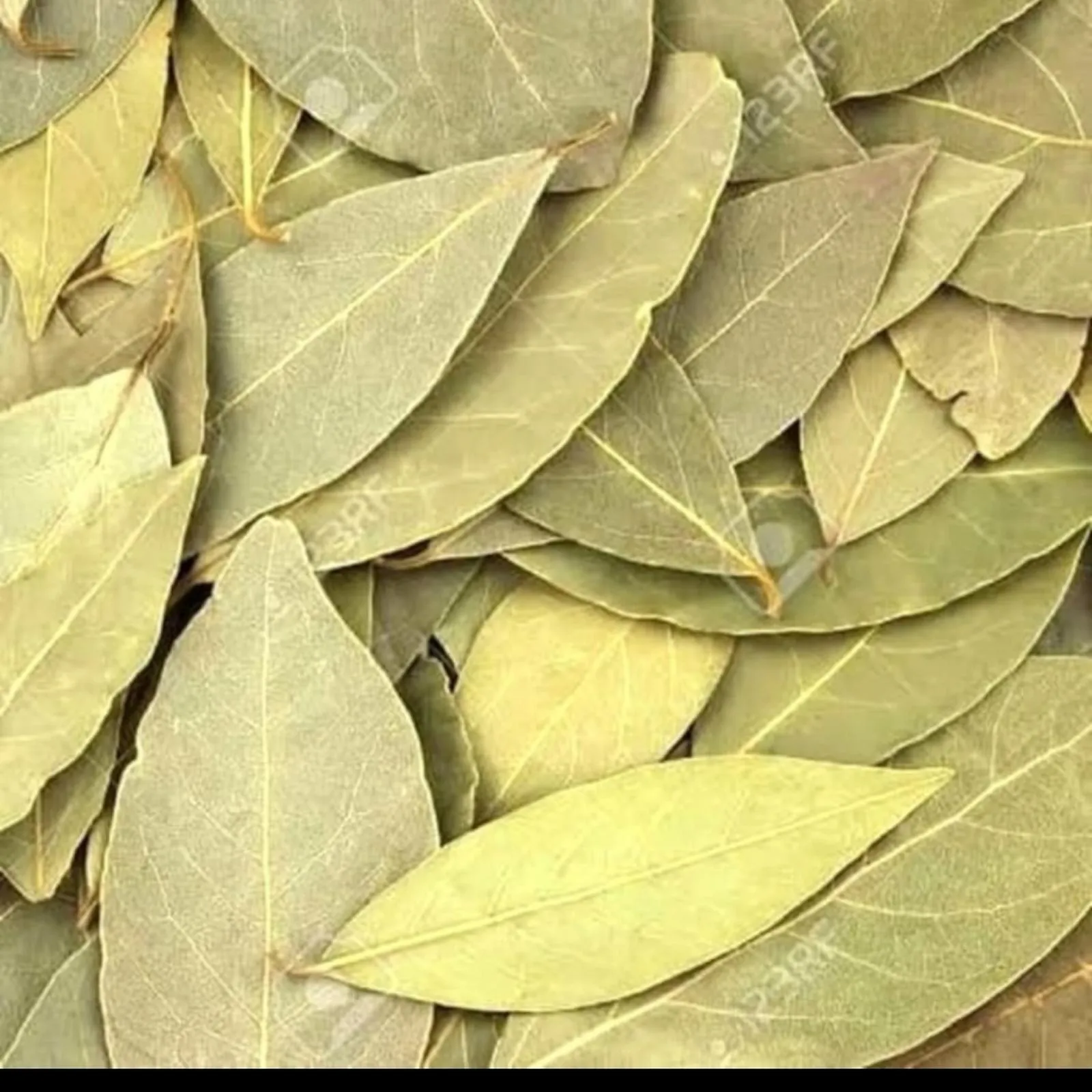 Bay Leaves (Dried)