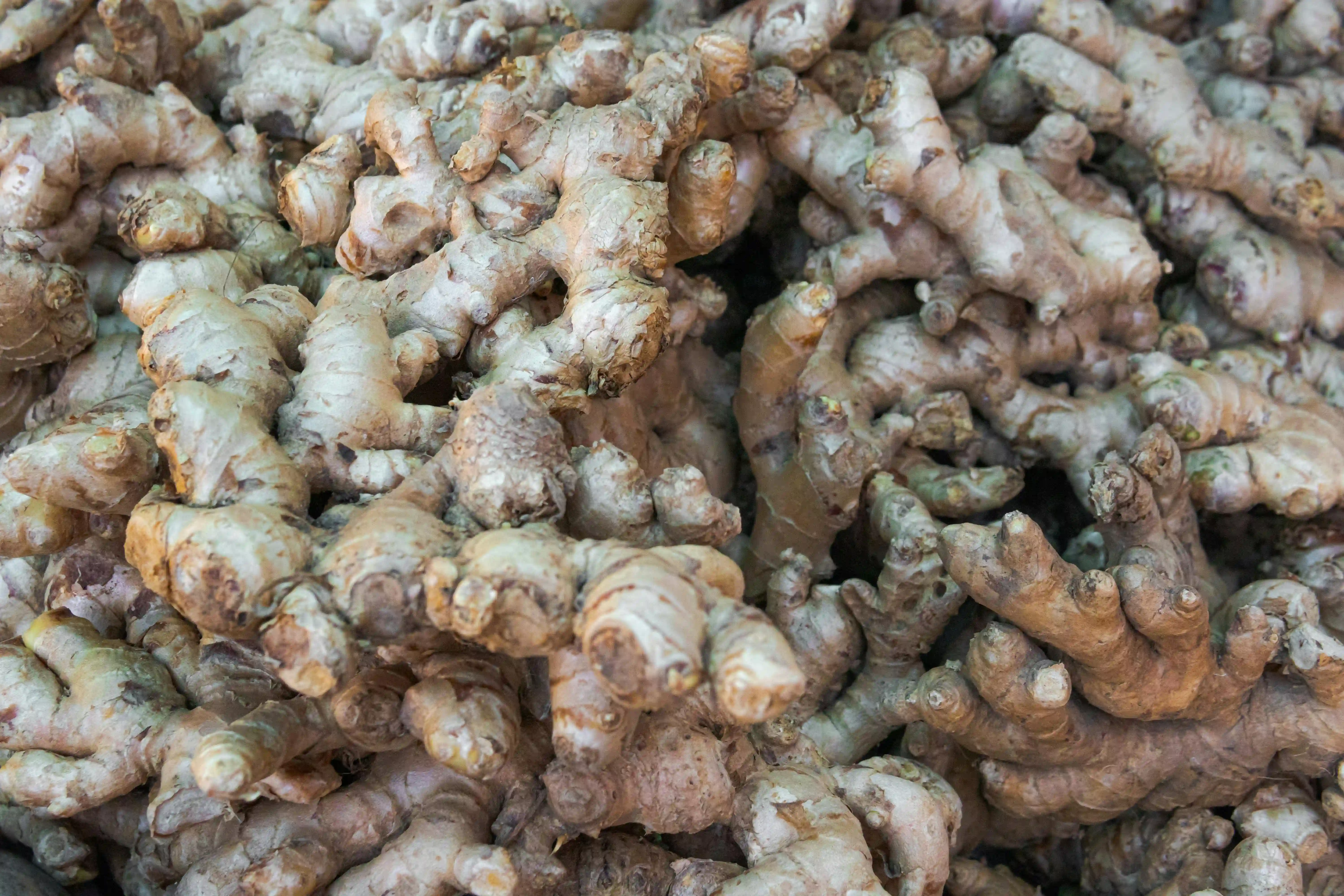 Ginger Sliced (Dried) view 2